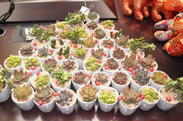 1514553941283791.png 微信圖片_20171229210752.png